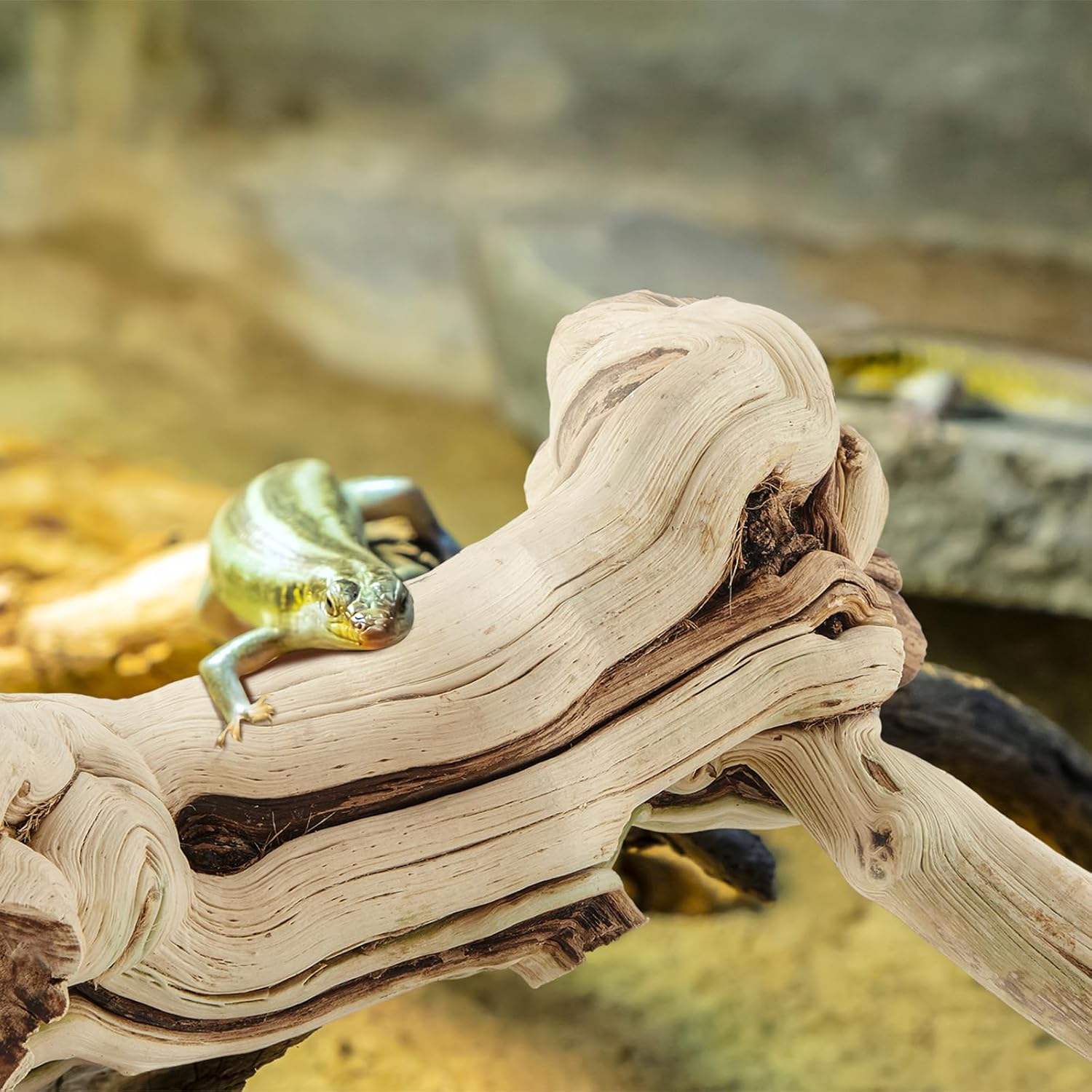 Large wood Bearded Dragon Climbing Habitat - Image 2