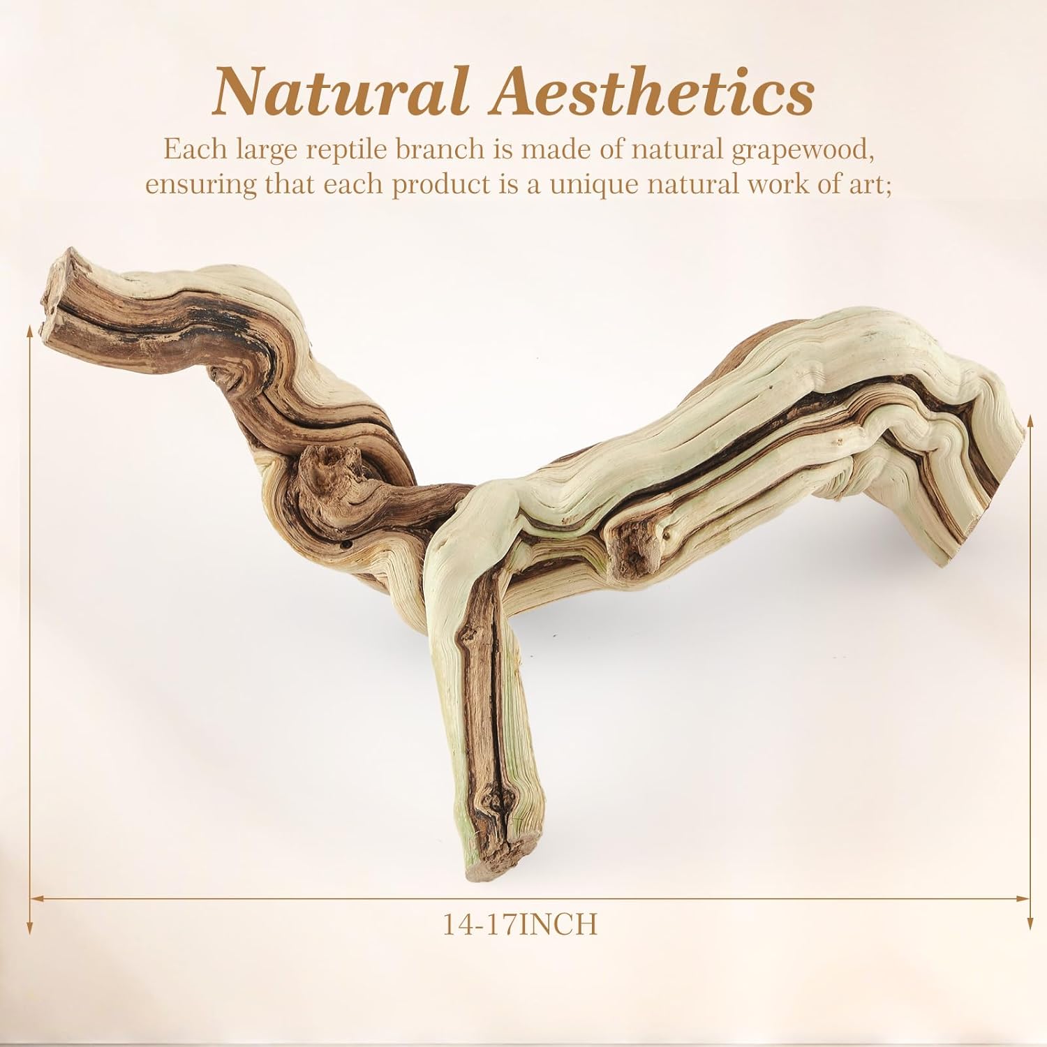 Large wood Bearded Dragon Climbing Habitat - Image 3