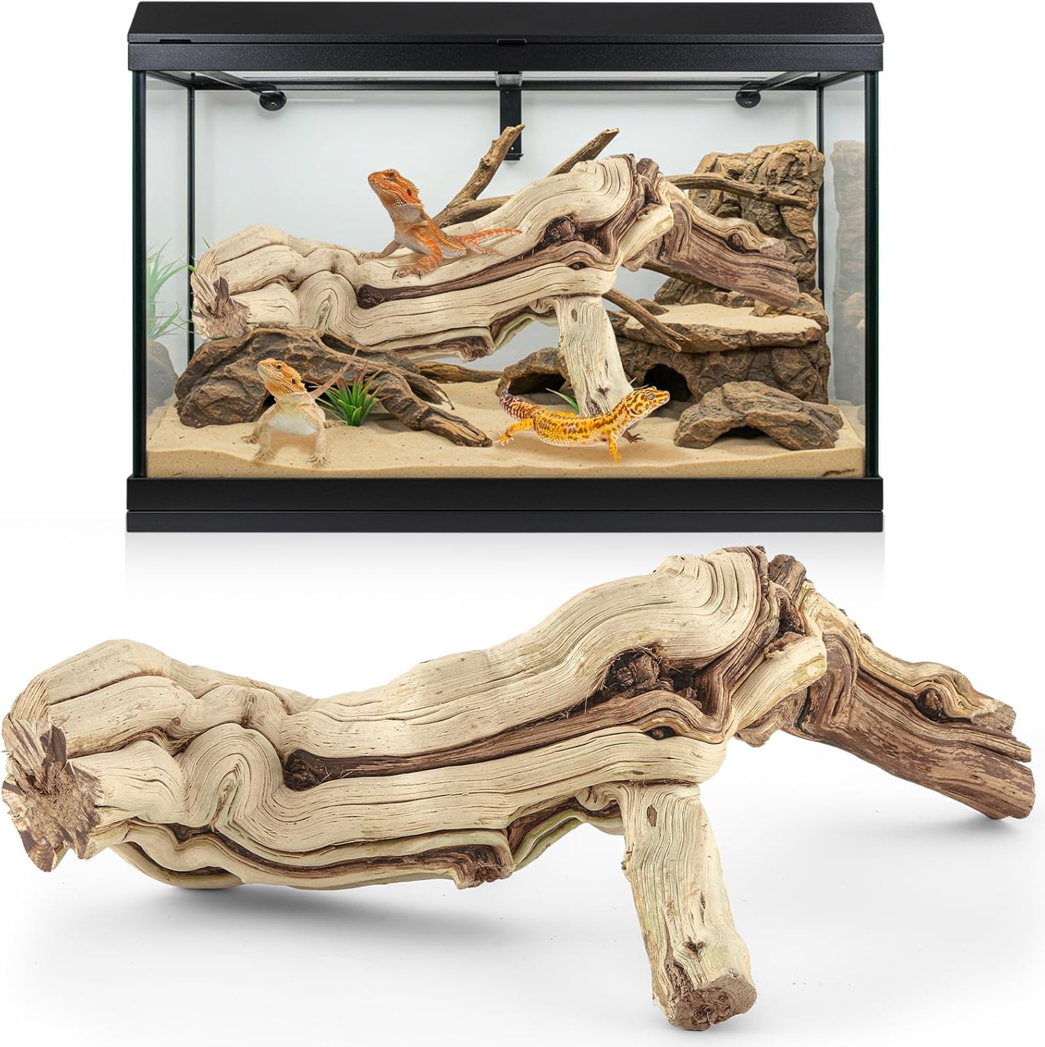 Large wood Bearded Dragon Climbing Habitat