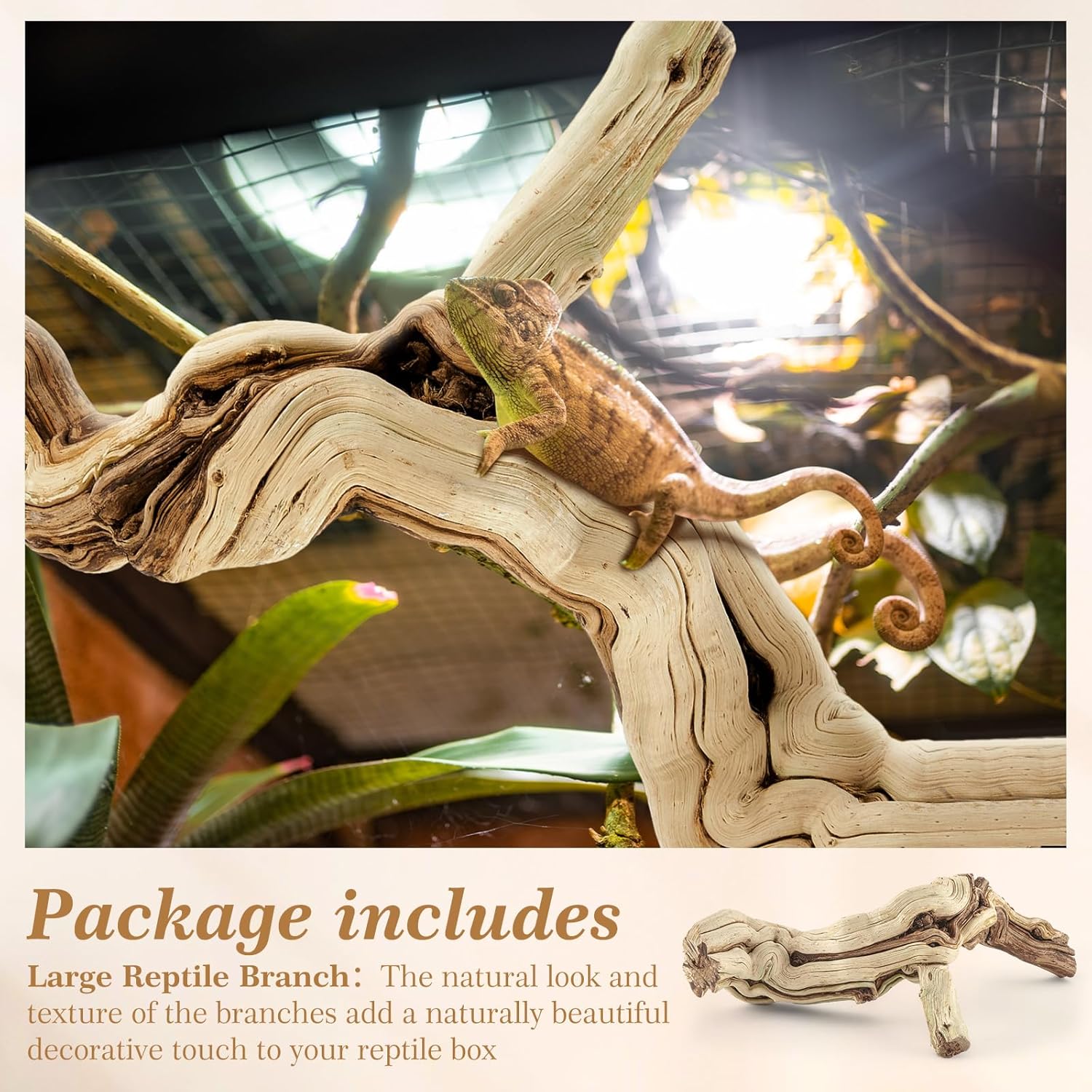 Large wood Bearded Dragon Climbing Habitat - Image 5