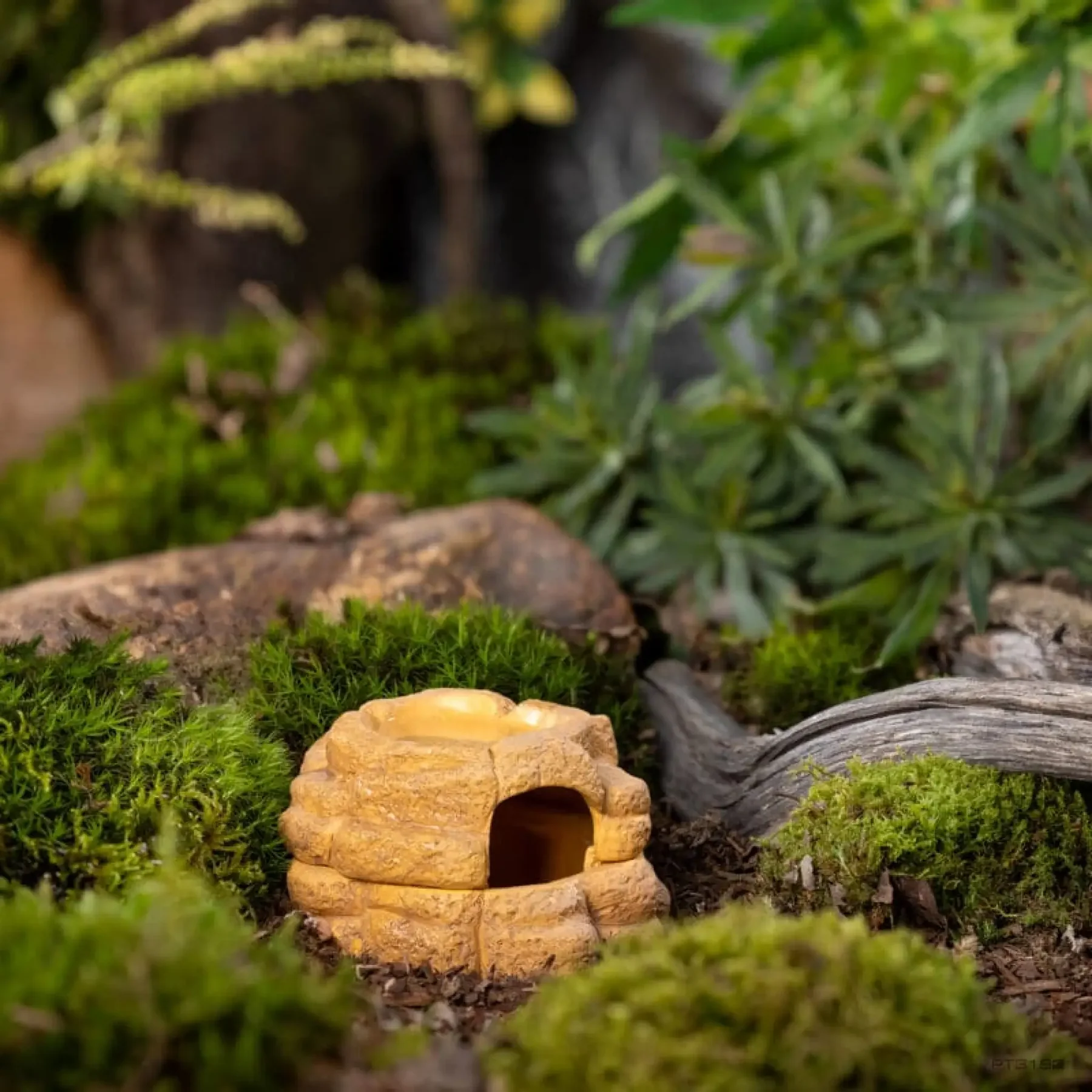 Big Rock Ceramic Cave - Image 3