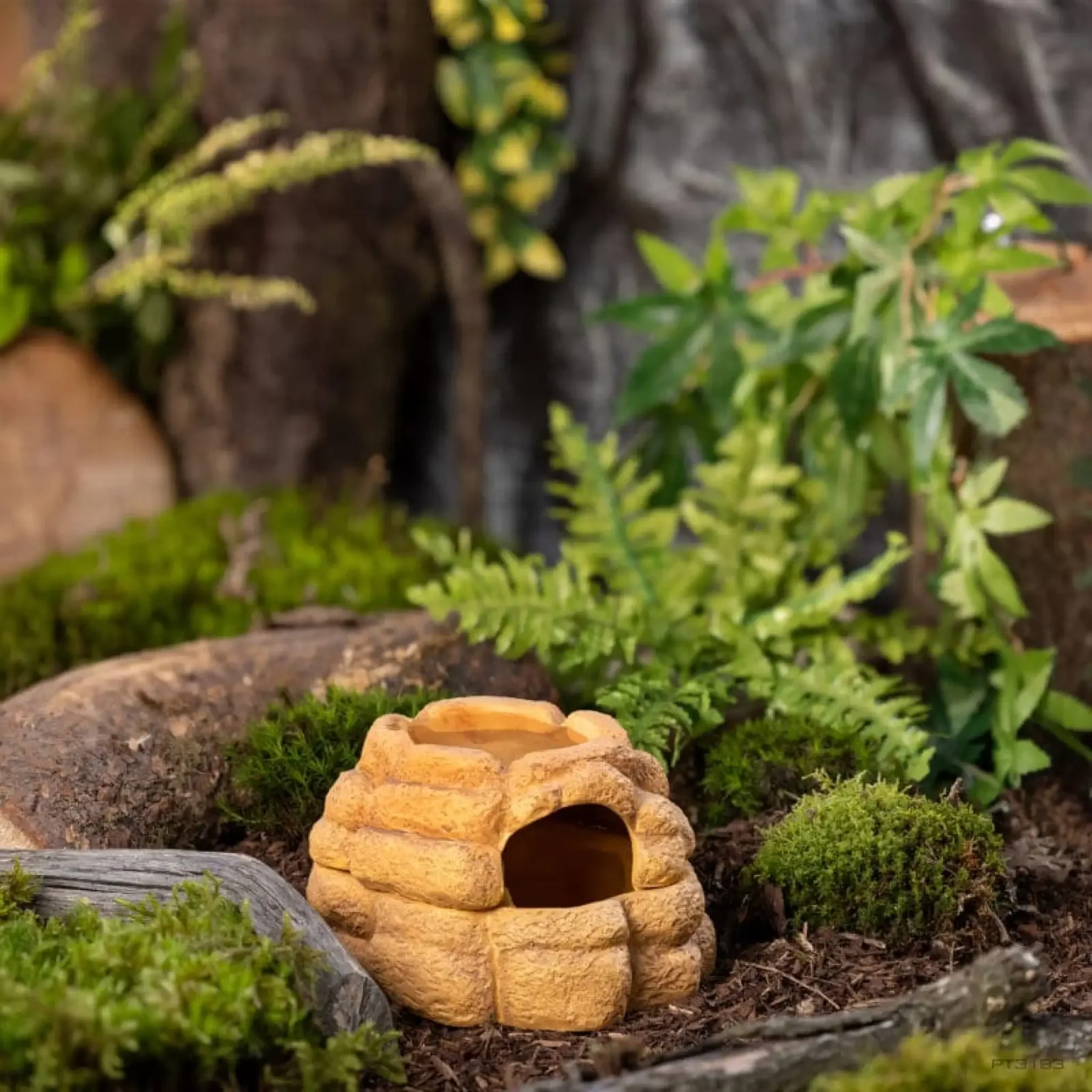 Big Rock Ceramic Cave - Image 5