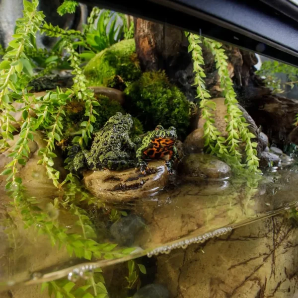 Exo Terra Glass Terrarium - Image 2