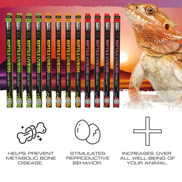 Reptile UVB100 T5 VHO - Image 4